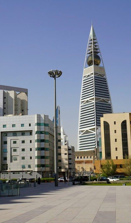 Government sector